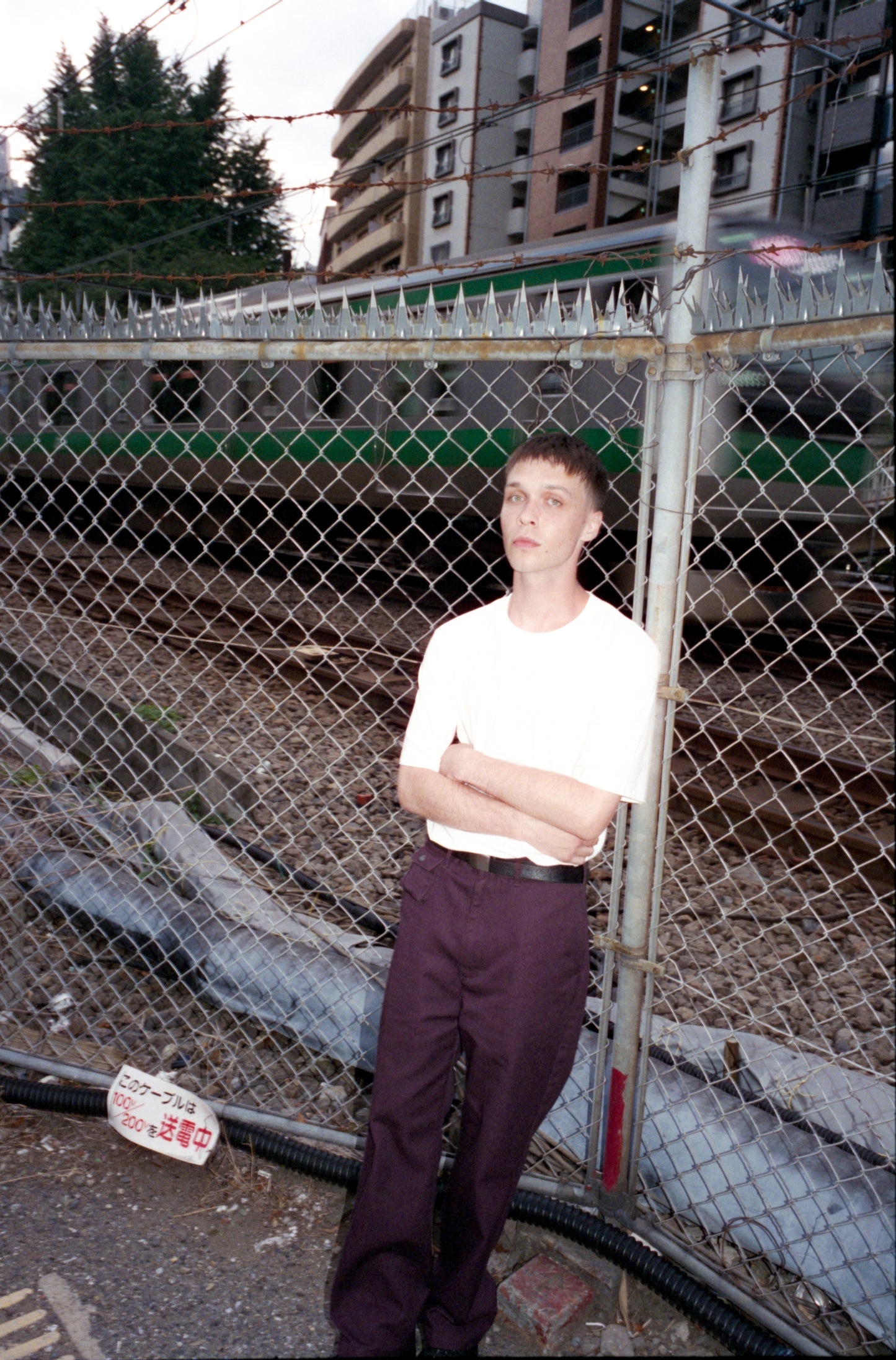 DICKIES TINO PANTS