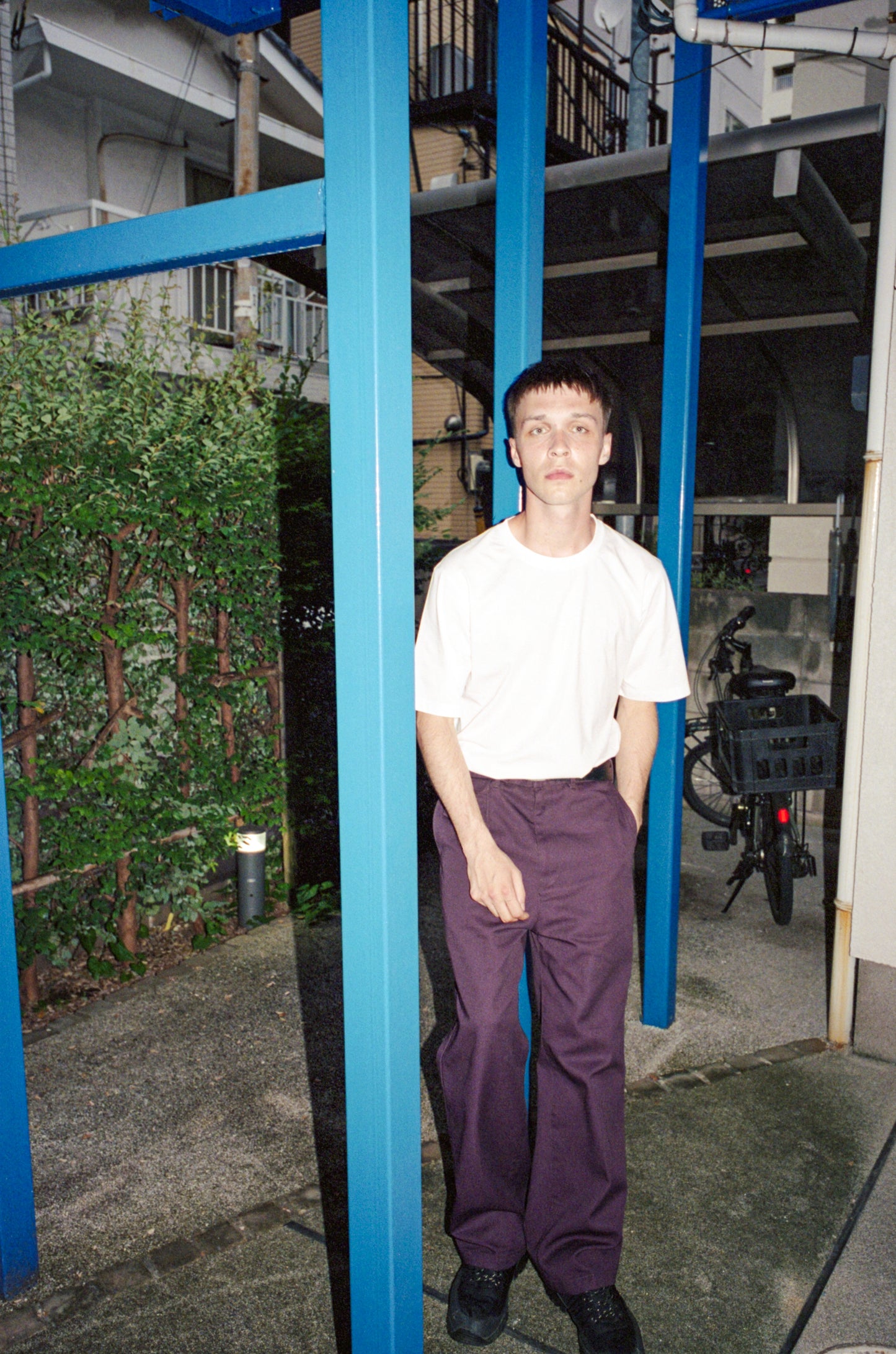 DICKIES TINO PANTS