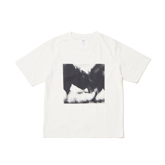 T SHIRTS – vainlarchive